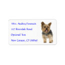 Search for yorkshire terrier return address labels Puppies