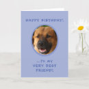 Search for guy friend birthday cards Mans best friend