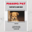 Search for missing the flyers Dog