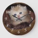 Search for soft kitty art Cute