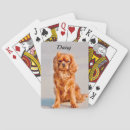 Search for dog playing Friend