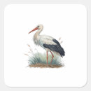Search for storks stickers Bird