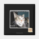 Search for were magnets I can has cheezburger