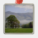 Search for great smoky mountains christmas tree decorations Landscape