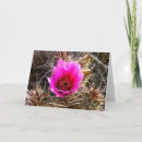 Search for prickly cards Floral