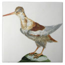 Search for engravings tiles Century