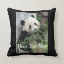 Search for cuddly photography Animal