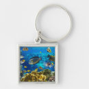 Search for coral reef key rings Blue