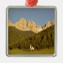 Search for rural christmas tree decorations Mountain