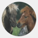 Search for miniature horse stickers Miniatures