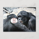 Search for apes horizontal postcards Humour