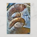 Search for rams postcards Sheep