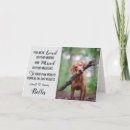 Search for pet sympathy cards In loving memory