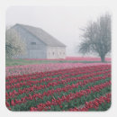 Search for skagit valley stickers Usa