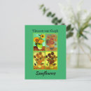 Search for 12 vertical postcards Sunflowers