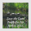 Search for turtle save the dates Green