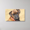 Search for boxer dog canvas prints Canine photographer