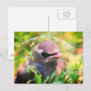 Search for baby birds postcards Quote
