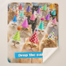 Search for cat blankets Birthday