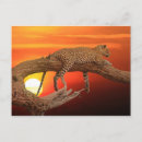 Search for leopards postcards Postcrossing