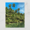 Search for philippines postcards Tropical