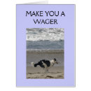 Search for wager Funny