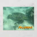 Search for oahu postcards Hanauma