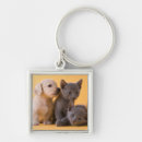 Search for dachshund pictures key rings Pet