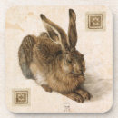 Search for mammals coasters Nature