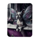 Search for bathtub magnets Dog