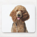 Search for mixed breed mouse mats Full length