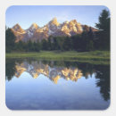 Search for np stickers Wyoming