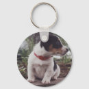 Search for puppy key rings Terrier