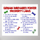 Search for german wirehaired pointer Dogs