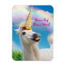 Search for funny magnets Happy birthday