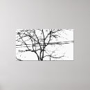 Search for black and white tree canvas prints Leaves
