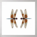 Search for widows posters Nature