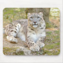 Search for snow leopard mouse mats Kawaii