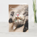 Search for cat graduation cards Pet