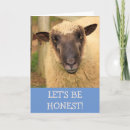 Search for honest cards Funny