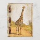 Search for giraffe postcards Nature
