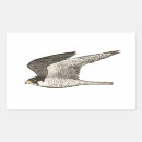 Search for bird feather stickers Nature