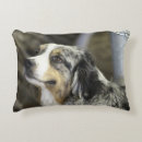 Search for australian shepherd cushions Cute