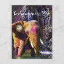 Search for conservation vertical postcards Elephant