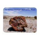 Search for forest park magnets Arizona