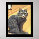 Search for maine coon cat art Pets