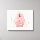 Search for respiratory system art Physiology