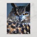 Search for wise postcards Nature