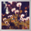 Search for impressionistic photography Floral