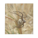 Search for creepy creatures Animals